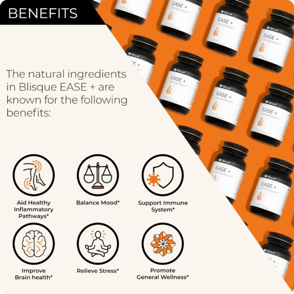 Version 1.0.0 Frasco suplemento Blisque cúrcuma y jengibre