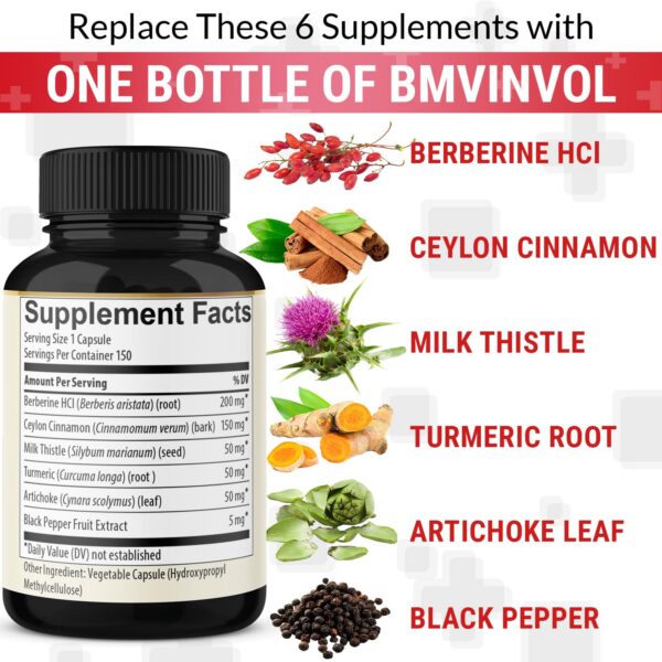 Frasco suplemento dieta berberina cúrcuma, canela y más