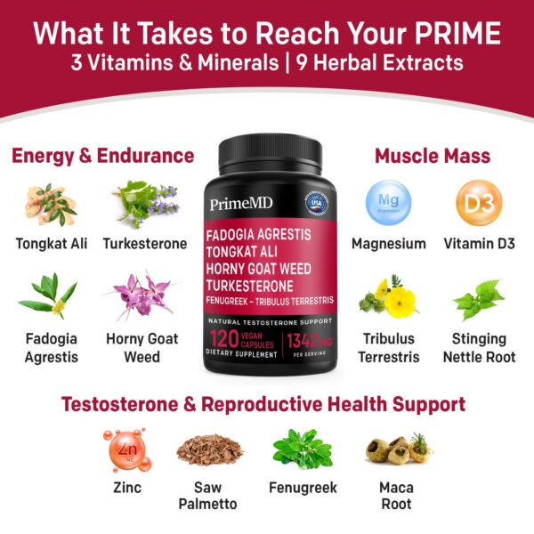 Version 1.0.0 Suplementos naturales sin OGM ni gluten