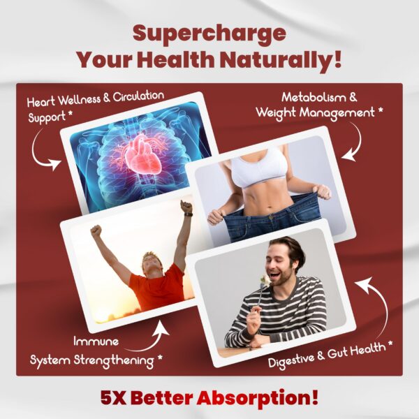 Version 1.0.0 Frasco suplemento combinado hierbas Vegatot GlucoSavior