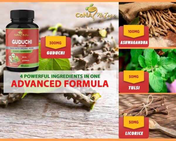 Frasco suplemento inmunológico Cona Nature 60 cápsulas