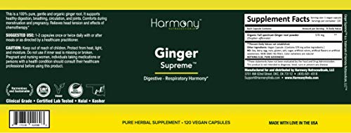 Version 1.0.0 Frasco suplemento jengibre para circulación y articulaciones