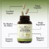 Frasco de suplemento jengibre Organic Herbal Roots