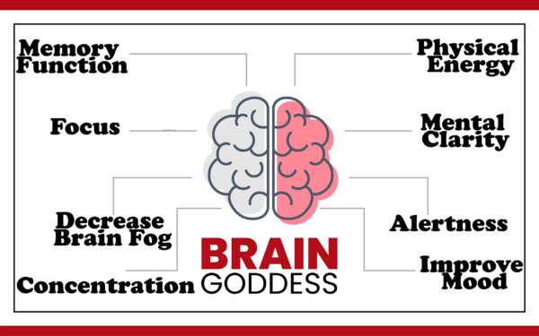 Frasco oscuro del suplemento Brain Goddess para memoria femenina