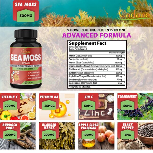 Version 1.0.0 Frasco de suplemento musgo marino Organic Cadane 90 cápsulas