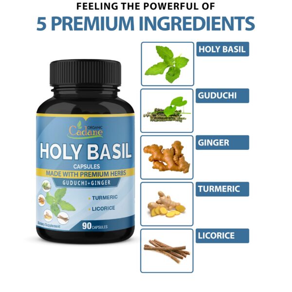 Version 1.0.0 Frasco suplemento orgánico 90 cápsulas Albahaca Santa