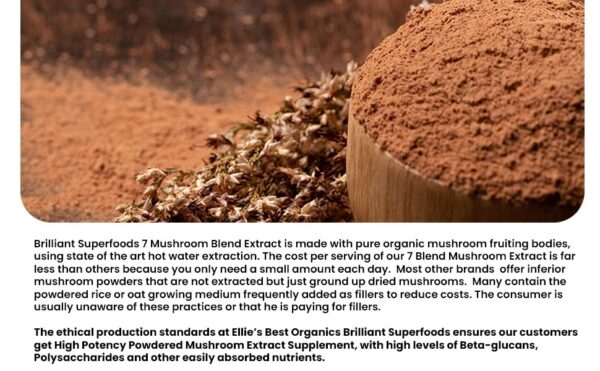 Frasco suplemento polvo concentrado 7 hongos