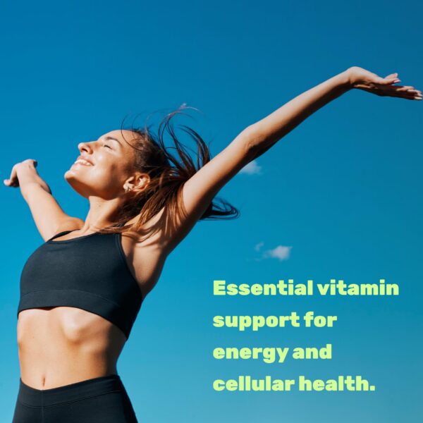 Frasco suplemento vitamina b1 tiamina 240 cápsulas deal