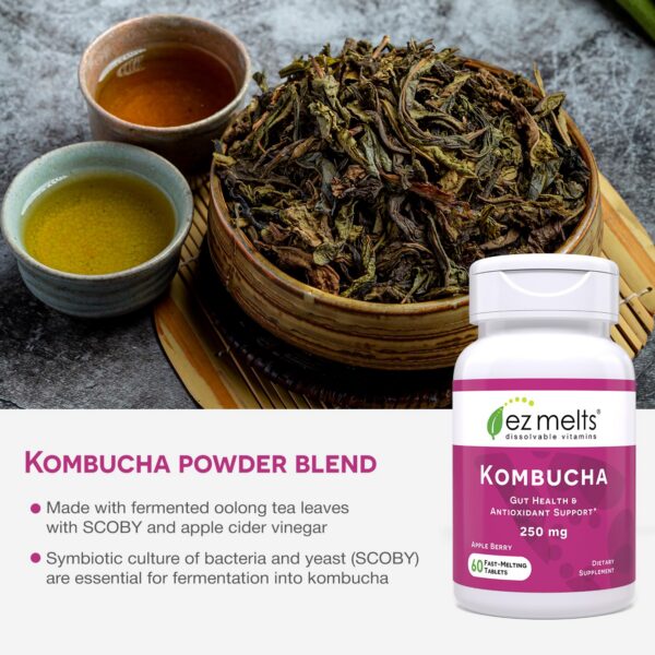 Version 1.0.0 Frasco tabletas kombucha sin azúcar EZ Melts 60 unidades