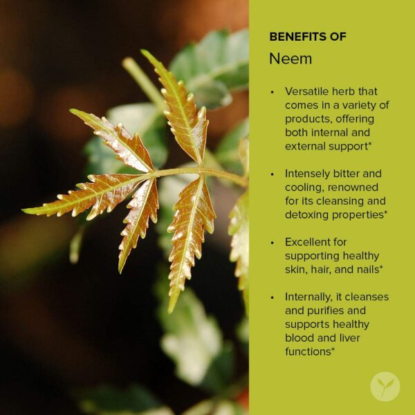 Version 1.0.0 Frasco tabletas neem orgánico Banyan Botanicals 90 unidades