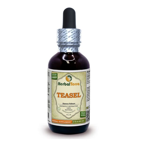 Frasco de tintura Herbal Terra Teasel 2 oz