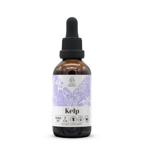 Frasco de tintura líquida natural de kelp sin alcohol 2 oz