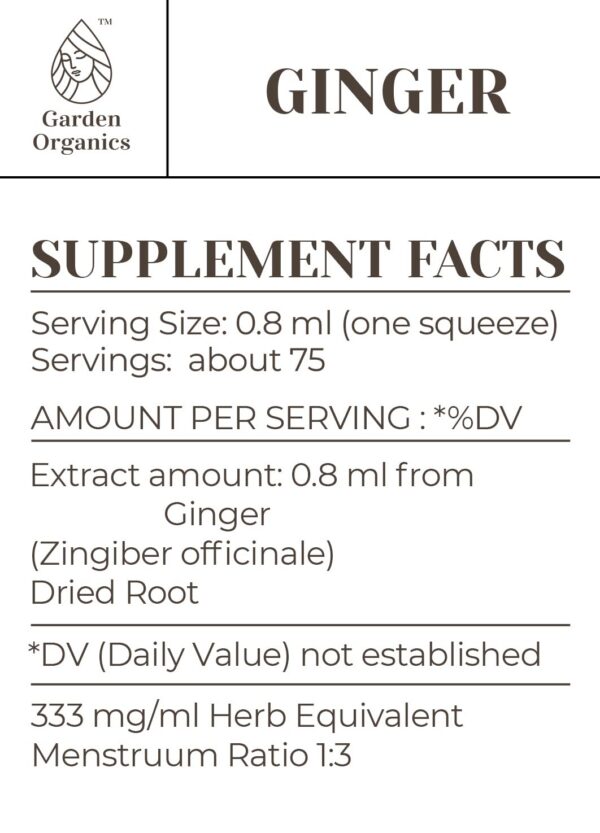 Frasco de tintura natural de raíz seca de jengibre