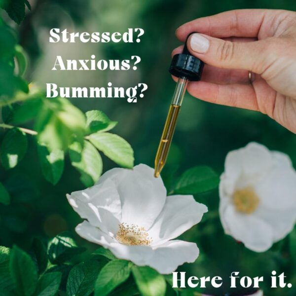 Frasco tónico herbal Urban Moonshine para estrés y ansiedad