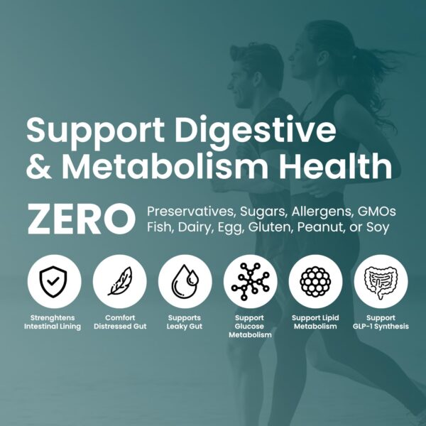 Version 1.0.0 Frasco UpNourish 60 cápsulas veganas para salud digestiva