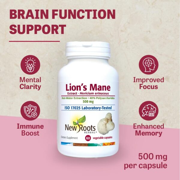 Frasco cápsulas de extracto concentrado melena de león