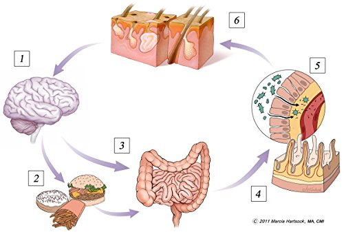 Frascos de Clear-Biotic con vitaminas para mejorar la piel y reducir acné
