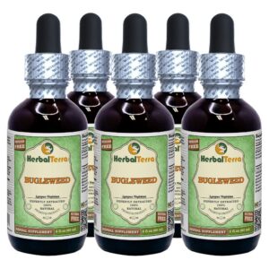 Frascos de extracto sin alcohol de Bugleweed HerbalTerra