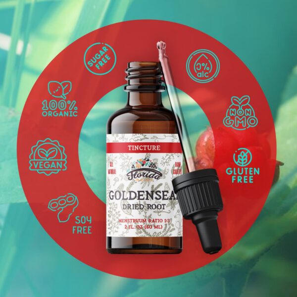 Suplemento natural potente Florida Herbs Goldenseal