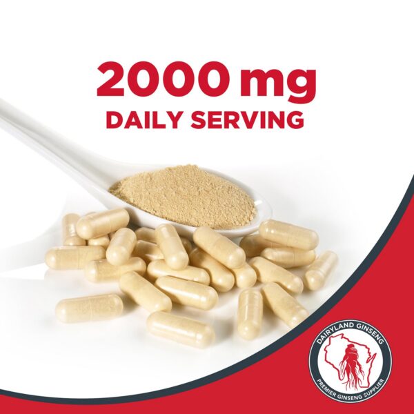 Rebanadas de ginseng americano Wisconsin de alta calidad