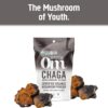 Frente paquete polvo chaga orgánico OM Superfood
