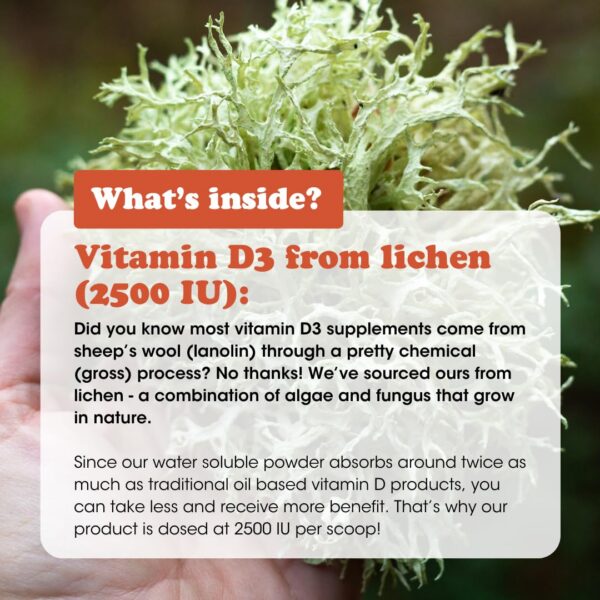 Fringe polvo D3 K2 cucharita medidora