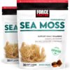 Version 1.0.0 Frente del envase FORCE FACTOR Sea Moss Soft Chews