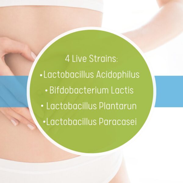 Daily Probiotic para salud digestiva y sistema inmunológico