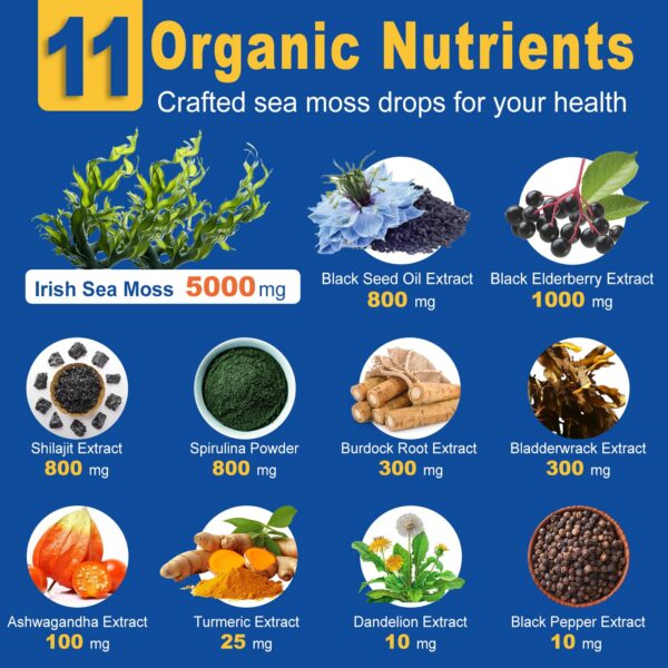 frontal envase gotas ZIPINKJ musgo marino y aceite negro