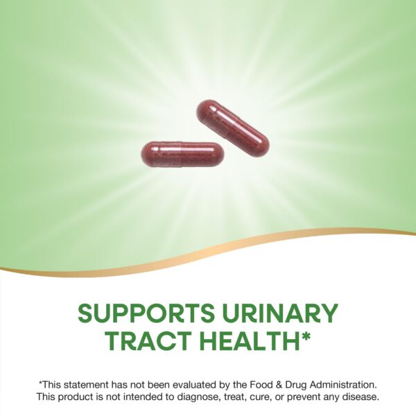 Version 1.0.0 Fruta de arándano rojo Nature's Way en caja