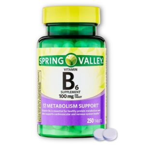 Tabletas B6 de 100 mg en frasco Fusion Shop