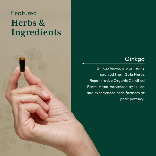 Version 1.0.0 Frasco con etiqueta Gaia Herbs PRO Ginkgo