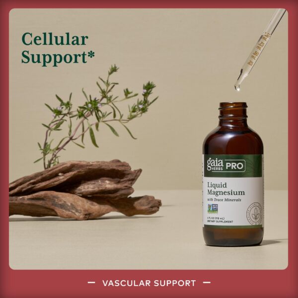 Etiqueta con lista de minerales en Gaia PRO