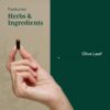 Gaia PRO Hoja de Olivo 1360 suplemento natural sistema inmune