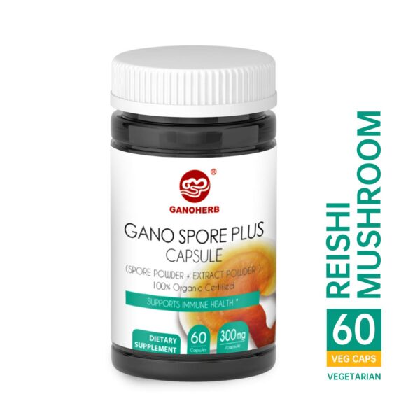 Cápsulas Reishi orgánico GANOHERB en mano
