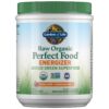 Garden of Life Perfect Food Energizer polvo verde envase