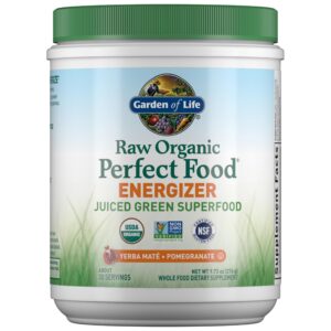 Garden of Life Perfect Food Energizer polvo verde envase