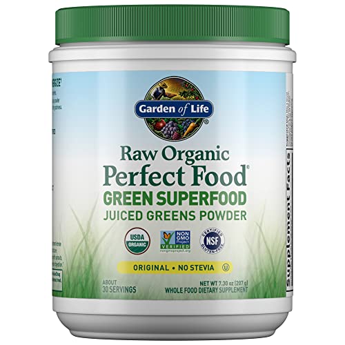 Garden of Life polvo superalimento verde orgánico 30 porciones