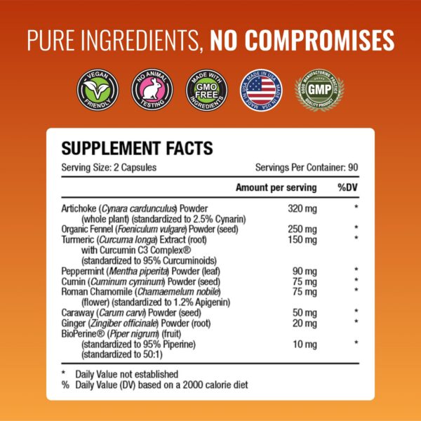 Gaslys artichoke ginger fennel powder suplemento para digestión