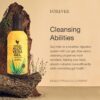 Gel aloe vera puro Forever Living sin conservadores