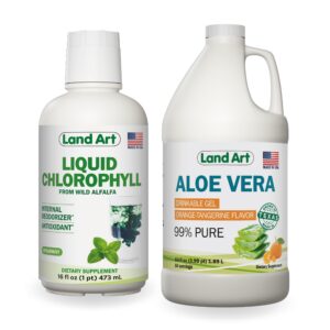 Gel bebible Aloe Vera sabor naranja mandarina Land Art 64 oz