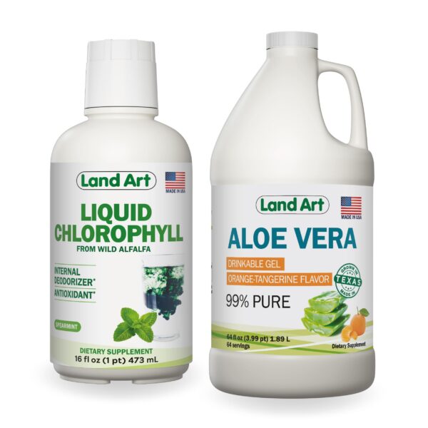 Gel bebible Aloe Vera sabor naranja mandarina Land Art 64 oz