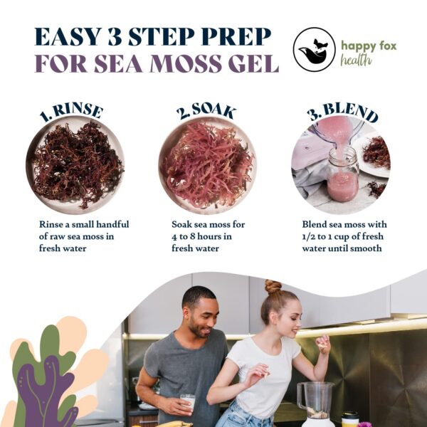 Version 1.0.0 Gel de musgo marino púrpura orgánico certificado no gmo Happy Fox