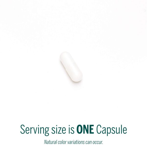 Cápsulas N-Acetil-L-Cisteína Genestra Amino NAC