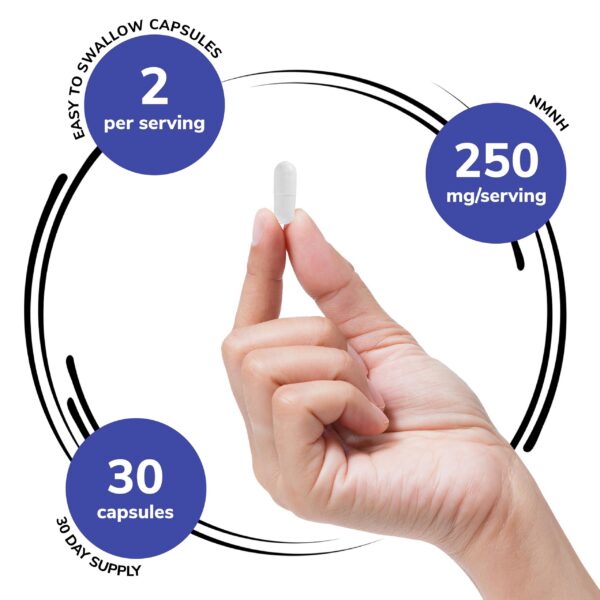 Ingredientes NMNH Genex Formulas