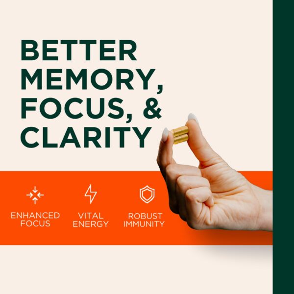 Genius mushroom cápsulas para enfoque y memoria