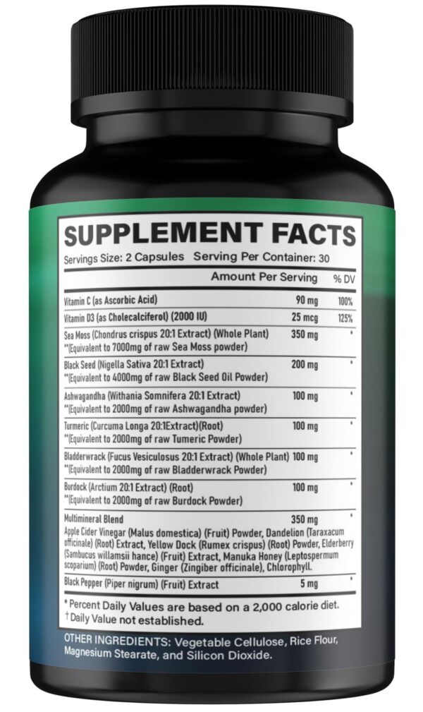 GiDa Culture combo shilajit y musgo de mar cápsulas veganas