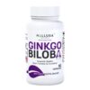 Ginkgo Biloba 120mg Hallusa Natural caja