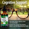 Version 1.0.0 Extracto de ginkgo biloba natural para apoyo mental y de memoria