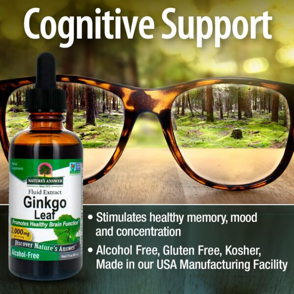 Version 1.0.0 Extracto de ginkgo biloba natural para apoyo mental y de memoria